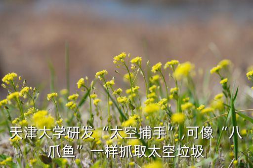 天津大學(xué)研發(fā)“太空捕手”,可像“八爪魚(yú)”一樣抓取太空垃圾