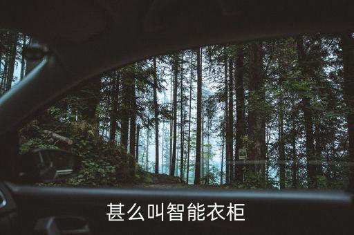甚么叫智能衣柜