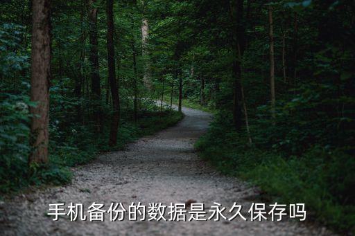 手機(jī)數(shù)據(jù)，換手機(jī)了數(shù)據(jù)會(huì)丟失嗎