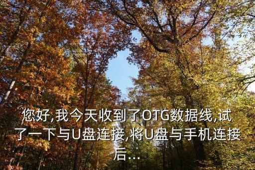 otg數(shù)據(jù)線受損,otg數(shù)據(jù)線卡sdsd受損怎么辦?