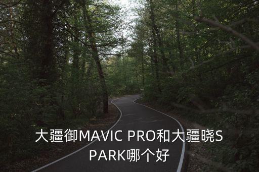 大疆御MAVIC PRO和大疆曉SPARK哪個好