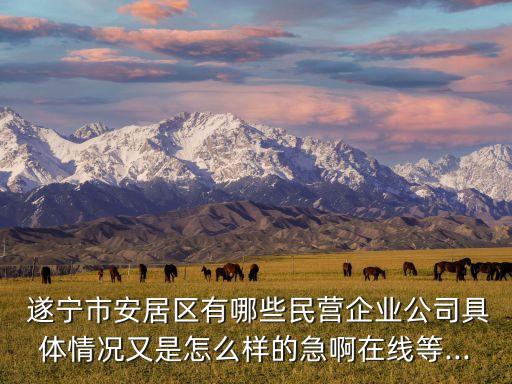  遂寧市安居區(qū)有哪些民營企業(yè)公司具體情況又是怎么樣的急啊在線等...