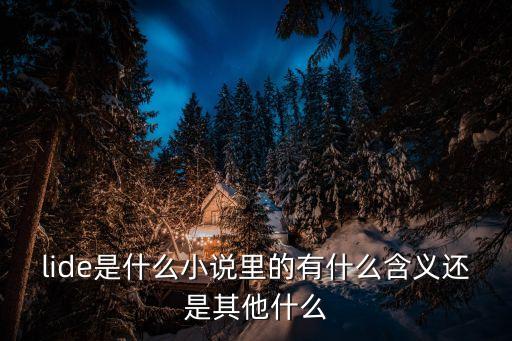 lide是什么小說里的有什么含義還是其他什么