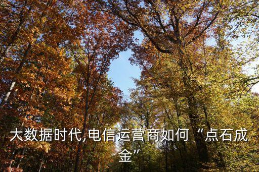 大數(shù)據(jù)時代,電信運營商如何“點石成金”
