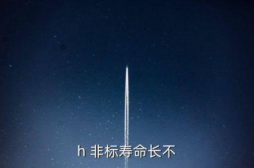 h 非標(biāo)壽命長(zhǎng)不