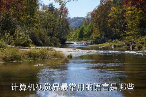 視覺語言，視覺語言和文學語言的區(qū)別把簡單點