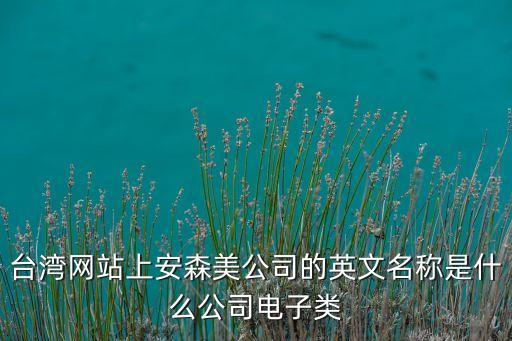 臺灣網(wǎng)站上安森美公司的英文名稱是什么公司電子類