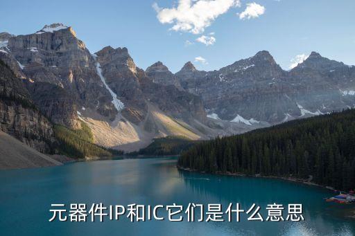 元器件IP和IC它們是什么意思