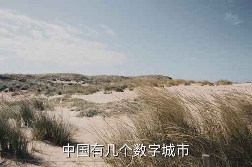 中國有幾個數(shù)字城市