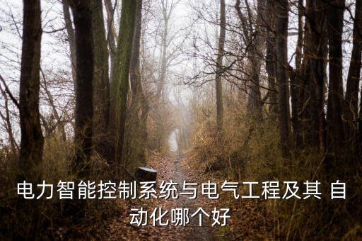 電力智能控制系統(tǒng)與電氣工程及其 自動化哪個好