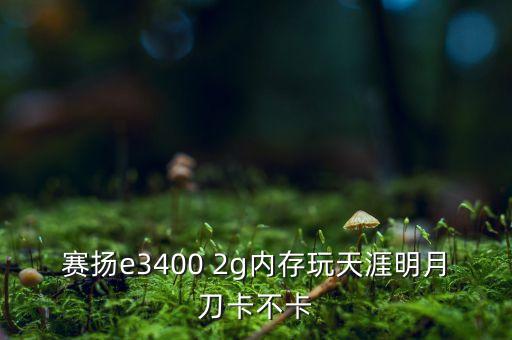 賽揚(yáng)e3400 2g內(nèi)存玩天涯明月刀卡不卡