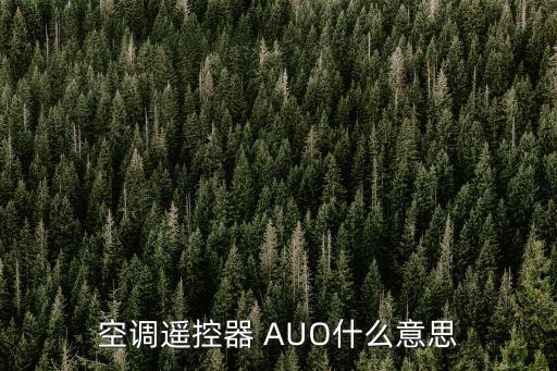 空調(diào)遙控器 AUO什么意思