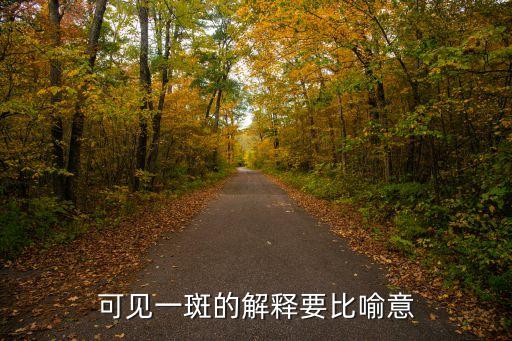 可見(jiàn)一斑的解釋要比喻意