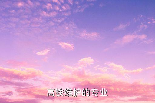 高鐵維護(hù)的專(zhuān)業(yè)