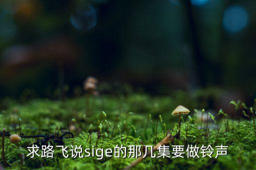 求路飛說sige的那幾集要做鈴聲