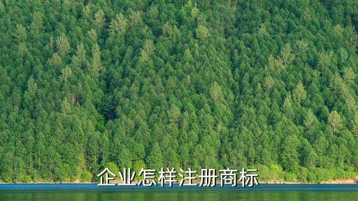 自動(dòng)化公司注冊(cè)商標(biāo),自動(dòng)化設(shè)備公司注冊(cè)流程有哪些?