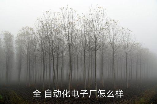 全 自動化電子廠怎么樣