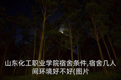 山東化工職業(yè)學(xué)院宿舍條件,宿舍幾人間環(huán)境好不好(圖片