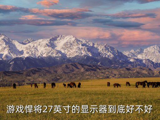 游戲悍將27英寸的顯示器到底好不好