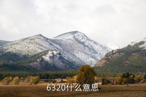 6320，6320什么意思