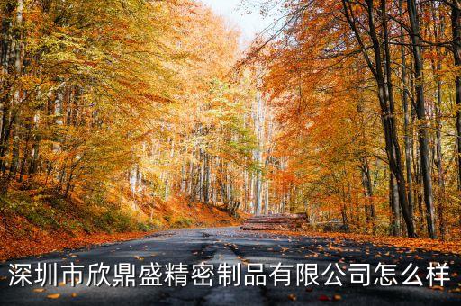 精密沖壓模具自動(dòng)化設(shè)備,精密科技公司經(jīng)營范圍怎么寫好?