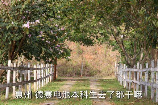惠州 德賽電池本科生去了都干嘛