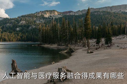 人工智能與醫(yī)療服務(wù)融合得成果有哪些