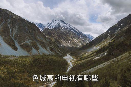 色域高的電視有哪些
