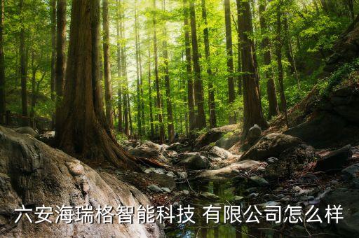 六安市自動化有限公司,廣州超音速自動化科技有限公司