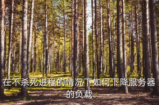 在不殺死進(jìn)程的情況下如何下降服務(wù)器的負(fù)載