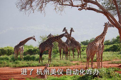 進(jìn)了 杭州美儀 自動(dòng)化咋辦