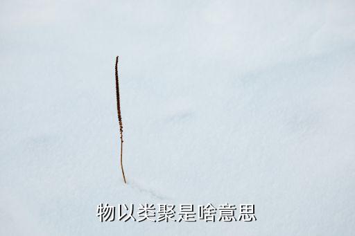 類(lèi)聚，物以類(lèi)聚什么意思