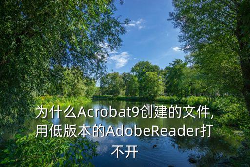 acrobot機(jī)器人,為什么用acrobat9創(chuàng)建文件?