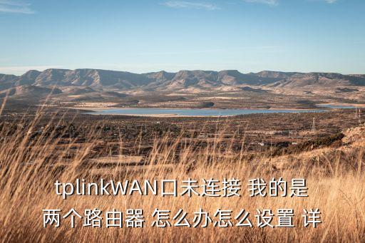 tplinkWAN口未連接 我的是兩個路由器 怎么辦怎么設(shè)置 詳