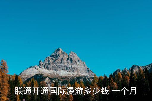 手機(jī)上手機(jī)數(shù)據(jù)一個(gè)月要多少錢