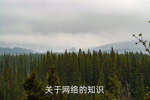 網(wǎng)絡基礎知識，關于網(wǎng)絡的知識