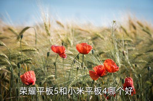 榮耀平板5和小米平板4哪個(gè)好