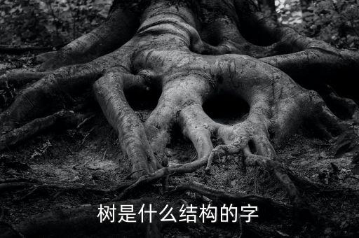 樹是什么結(jié)構(gòu)的字