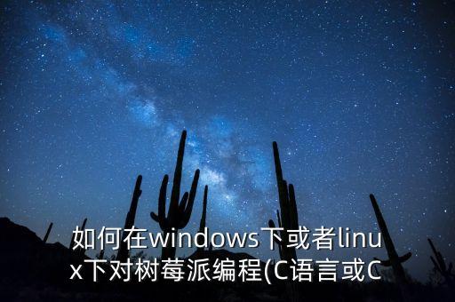 如何在windows下或者linux下對(duì)樹(shù)莓派編程(C語(yǔ)言或C