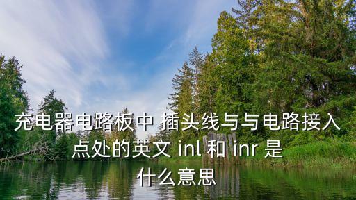 充電器電路板中 插頭線與與電路接入點(diǎn)處的英文 inl 和 inr 是什么意思