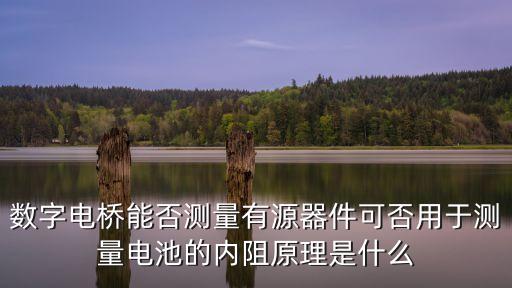數(shù)字電橋能否測量有源器件可否用于測量電池的內(nèi)阻原理是什么