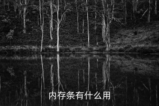 內(nèi)存條有什么用
