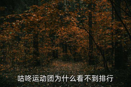 咕咚運(yùn)動(dòng)團(tuán)為什么看不到排行
