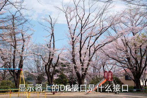 顯示器上的DP接口是什么接口