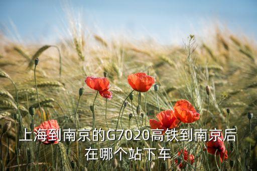 上海到南京的G7020高鐵到南京后在哪個(gè)站下車