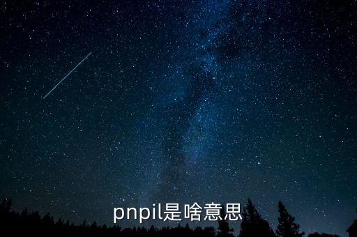 pnpil是啥意思