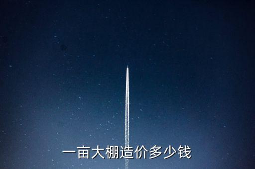 一畝大棚造價多少錢