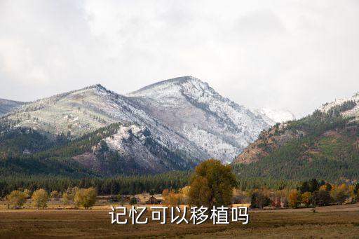 記憶可以移植嗎
