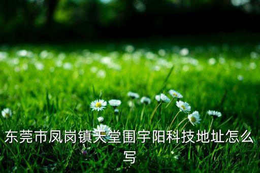 東莞市鳳崗鎮(zhèn)天堂圍宇陽科技地址怎么寫