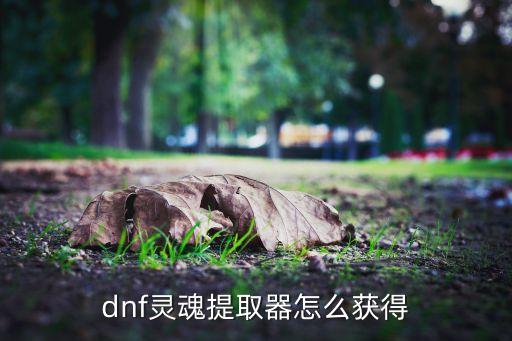 dnf靈魂提取器怎么獲得